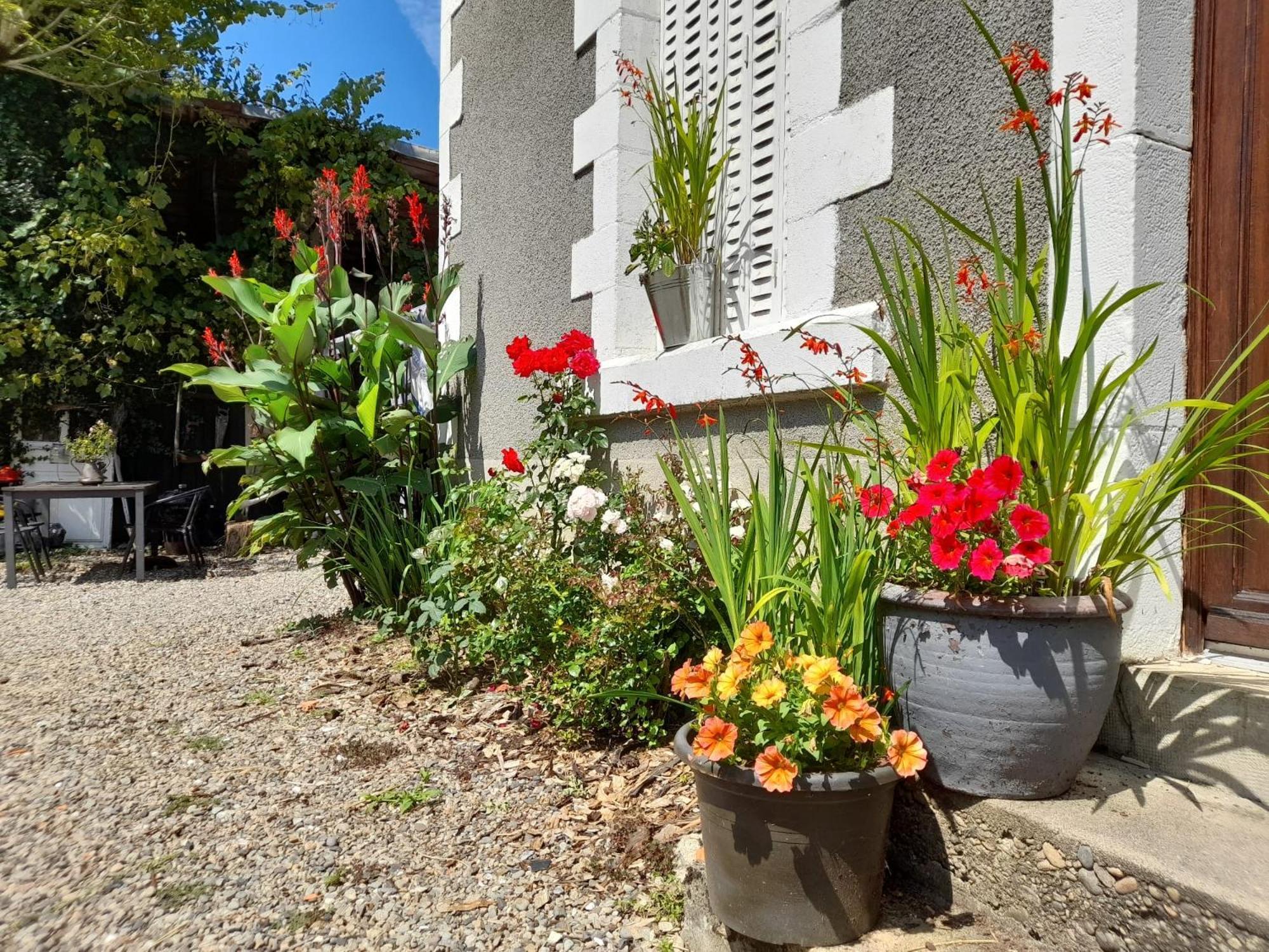 Carpe Diem Bed And Breakfast Beaulieu-sur-Dordogne Exterior photo